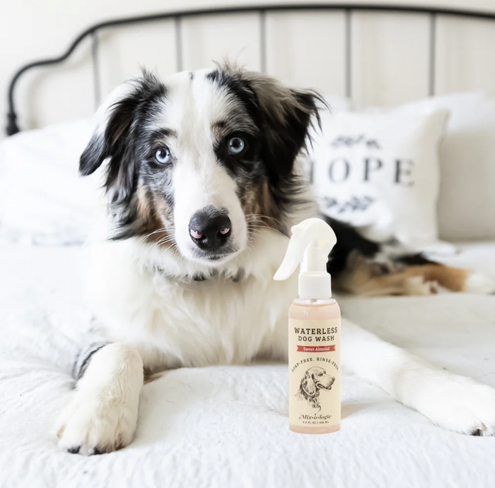 Rinse-Free Dog Wash - Sweet Almond