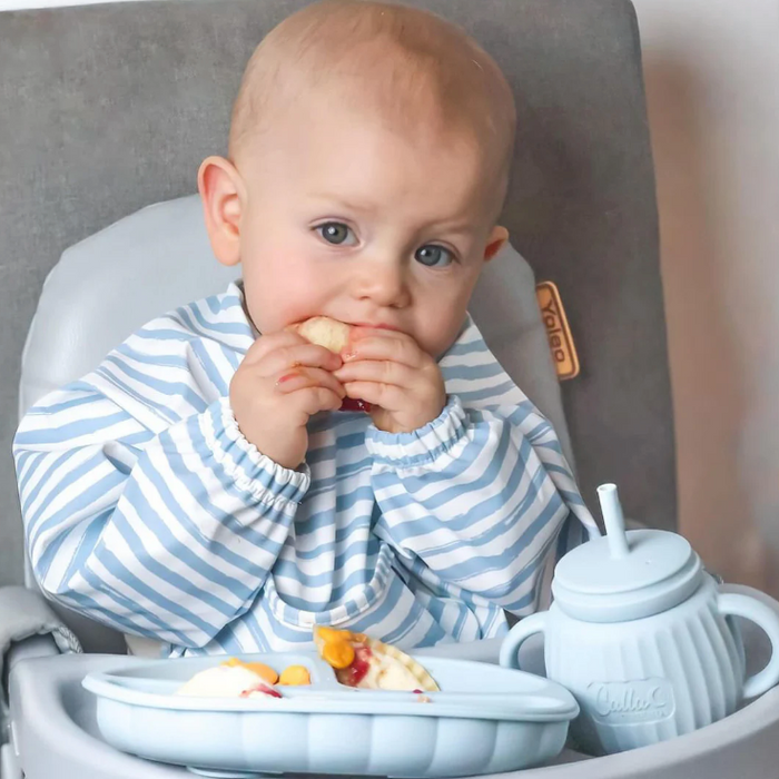 The Grayson Long Sleeve Bib - Brush Stripes Powder Blue