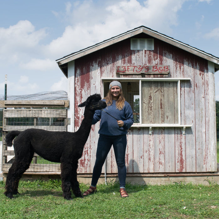 Person standing next to a black alpaca wearing blue sweater in front of a rustic building