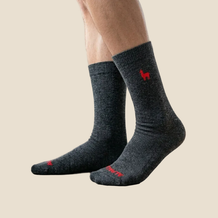 Gray socks with a red logo on a beige background