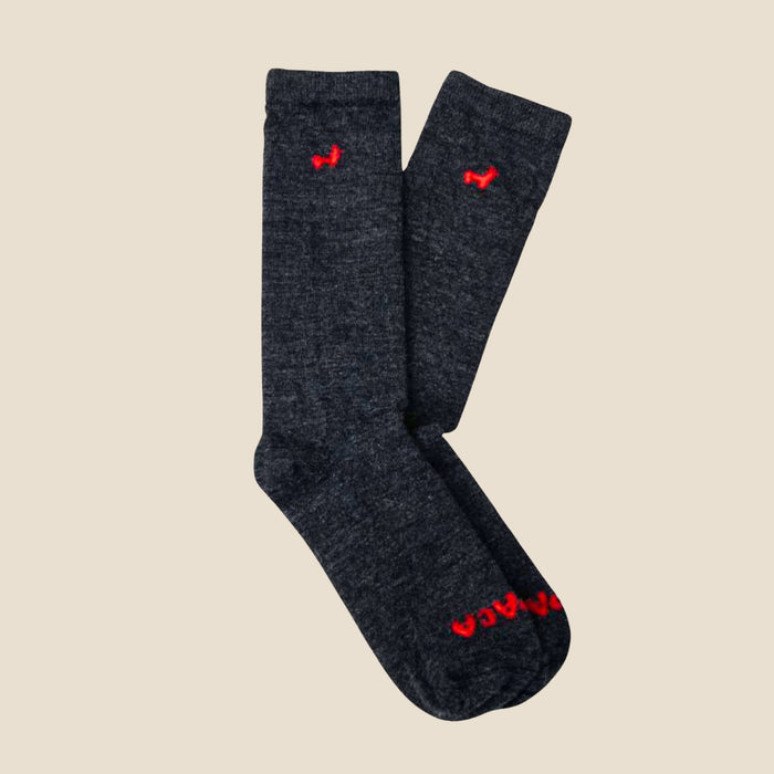 Pair of dark gray socks with red accents on a beige background