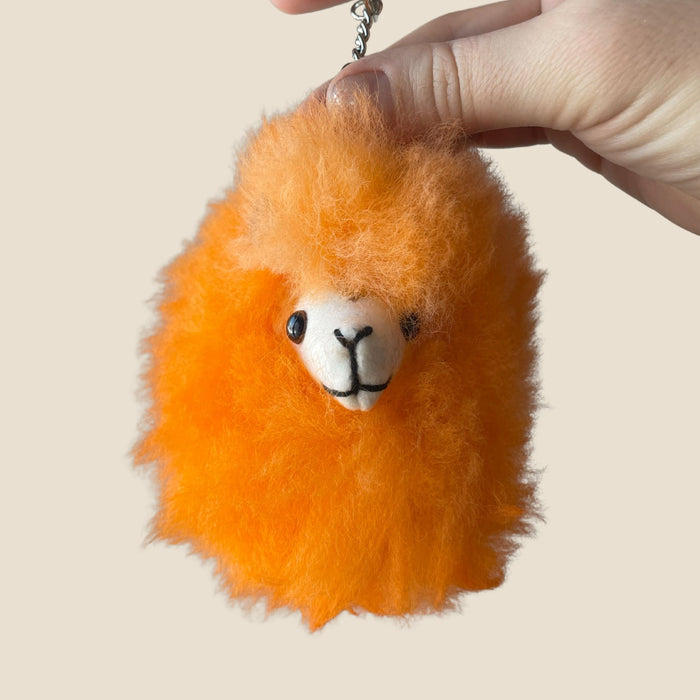 Orange Pom