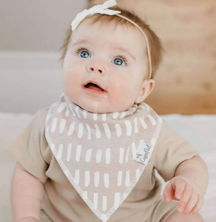 Baby Bandana Bibs - Bliss
