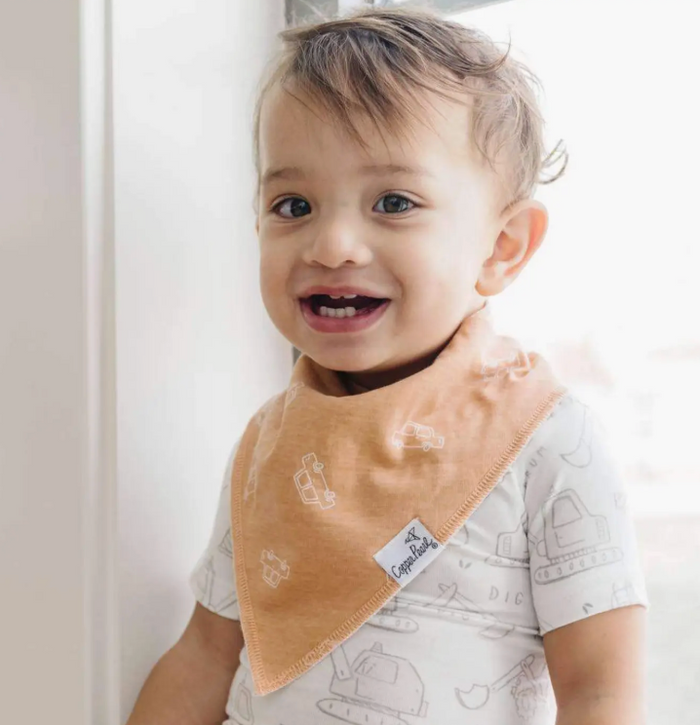 Baby Bandana Bibs - Gage