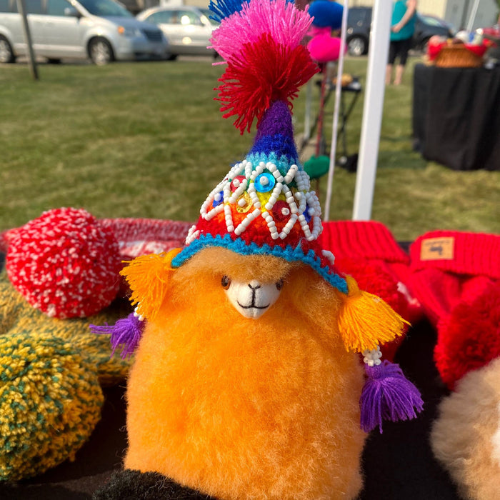 Colorful teddy bear with a decorative hat in an outdoor setting