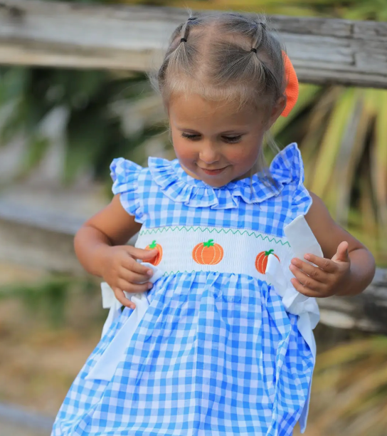 Blue Pumpkin Smock Embroidery Dress