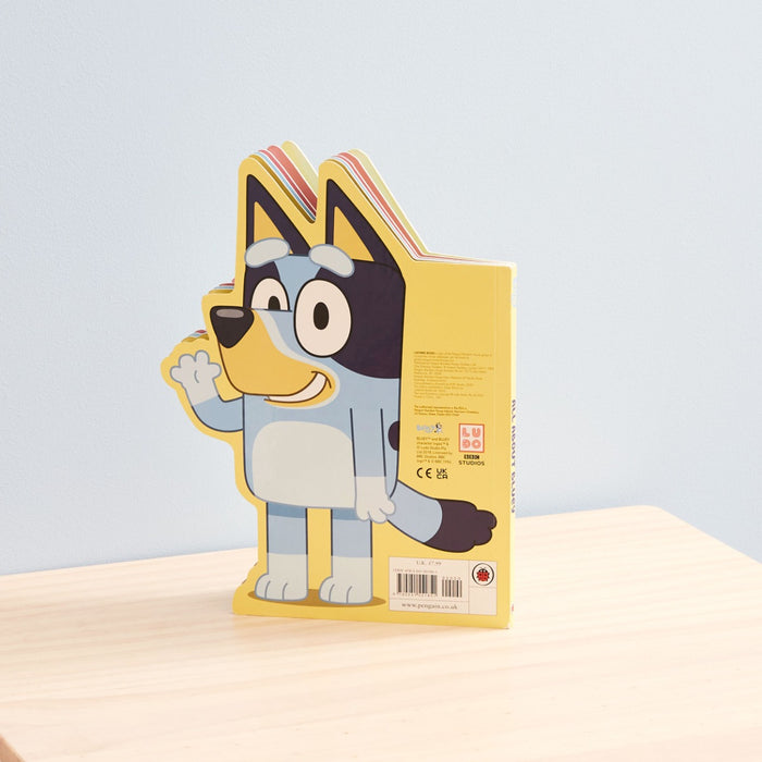 Bluey: All About Bluey Board Book