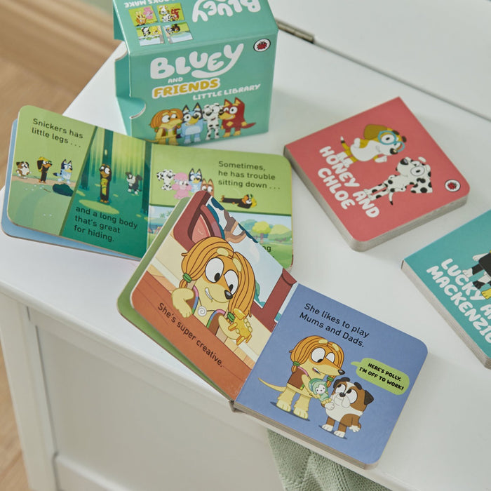 Bluey Little Library Book Set