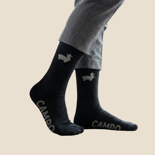 Person wearing black socks with dog illustrations and 'Camco' branding indoors.