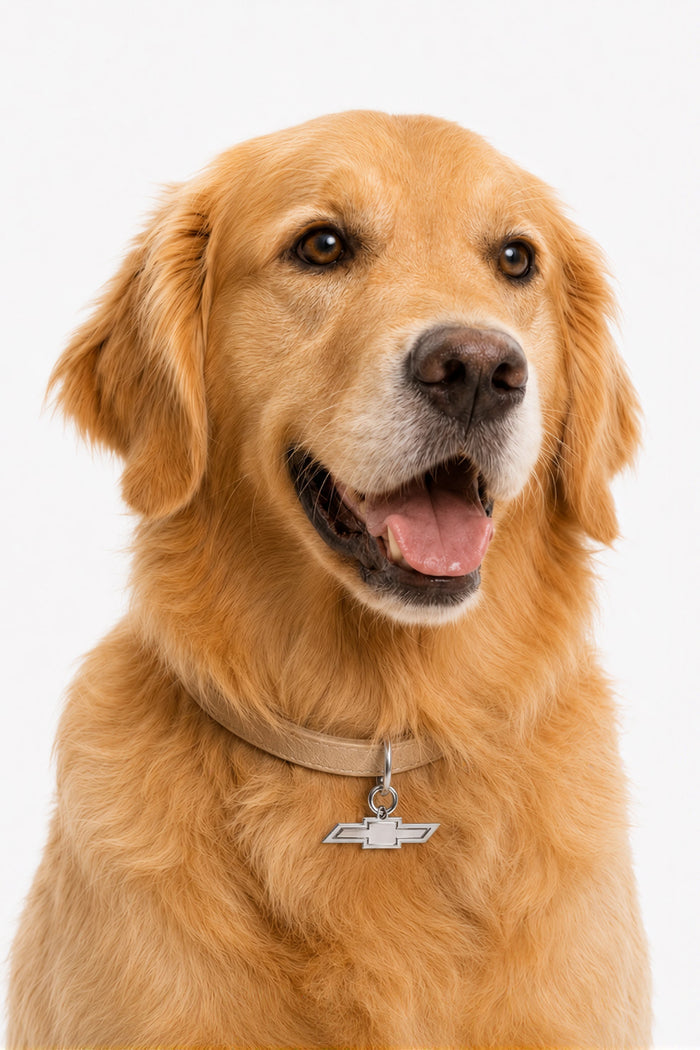 Chevrolet Bowtie Pet Charm