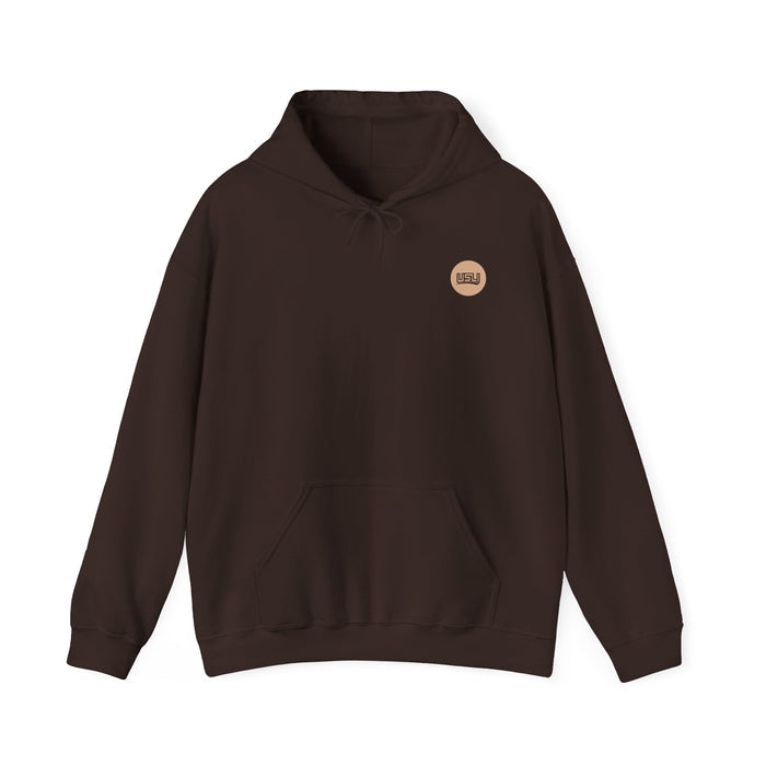 Denver - Unisex Heavy Blend™ Hooded Sweatshirt