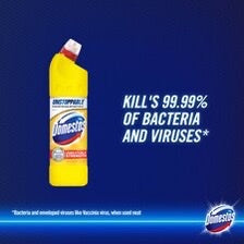 Domestos Citrus Fresh Bleach 750Ml