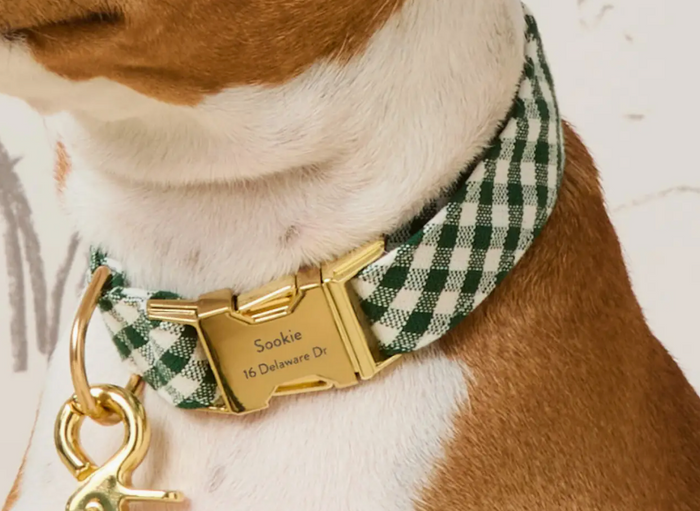 Evergreen Gingham Dog Collar