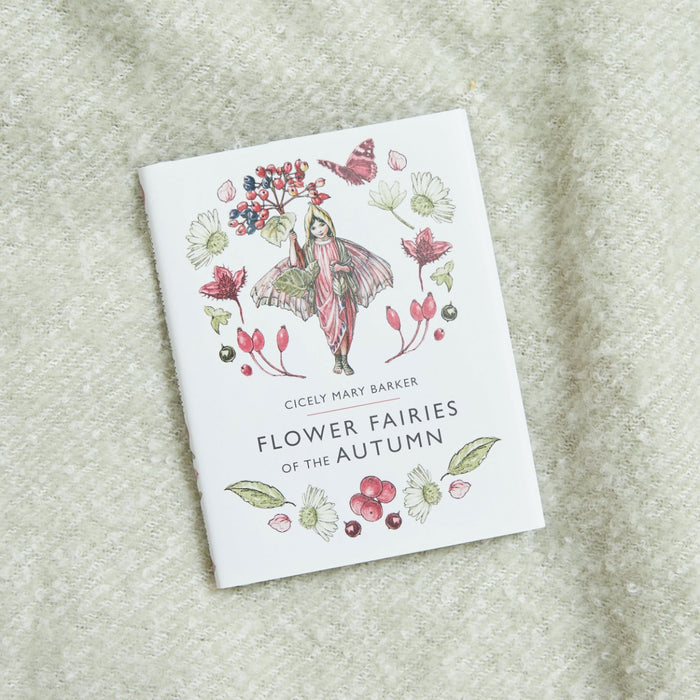 Flower Fairies of The Autumn Book