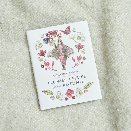 Flower Fairies of The Autumn Book