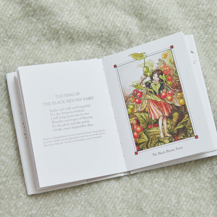 Flower Fairies of The Autumn Book