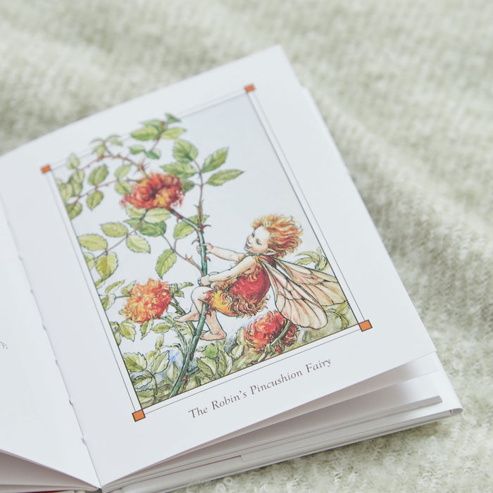 Flower Fairies of The Autumn Book