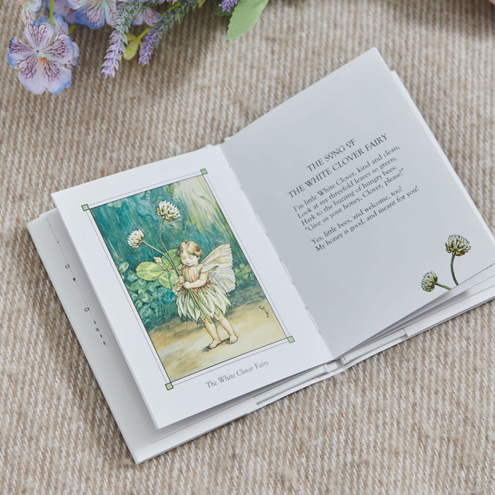 Flower Fairies Of The Spring Story Book