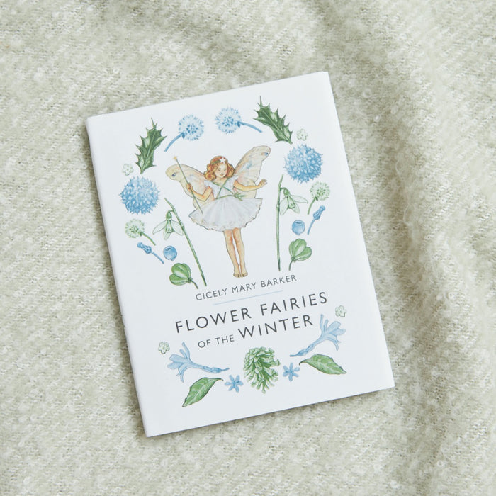 Flower Fairies of The Winter Book