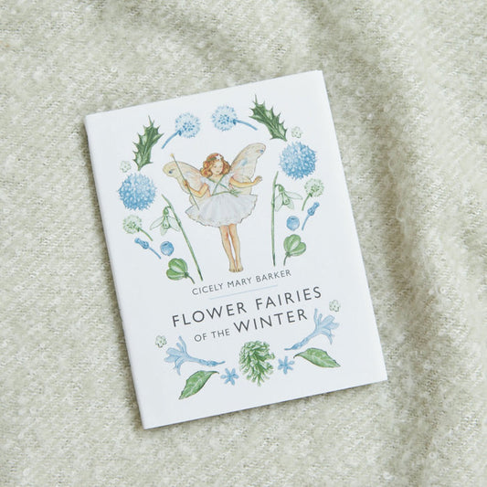 Flower Fairies of The Winter Book