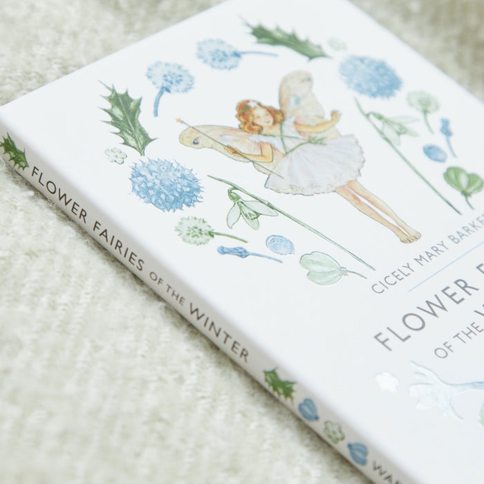 Flower Fairies of The Winter Book