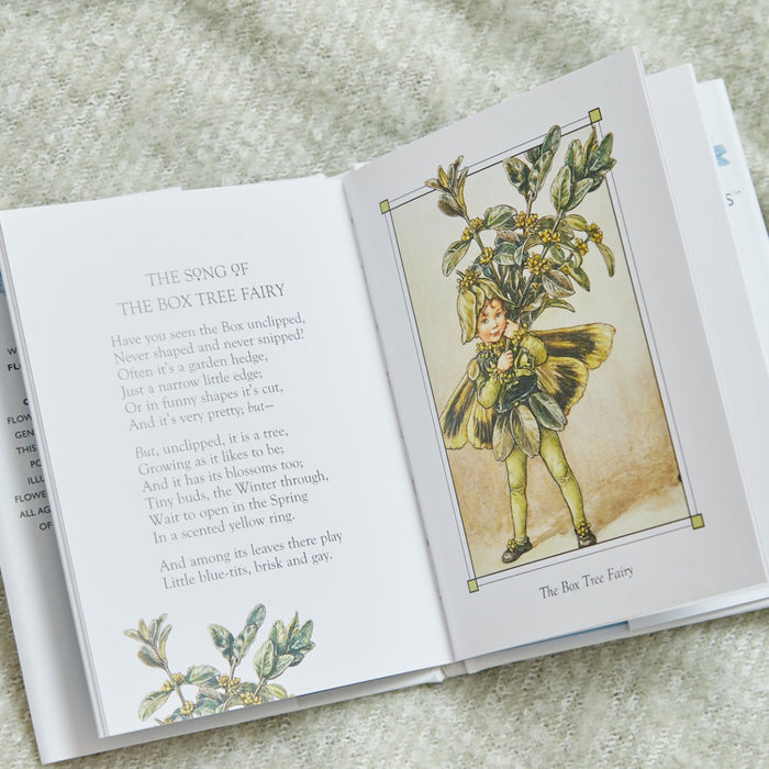 Flower Fairies of The Winter Book