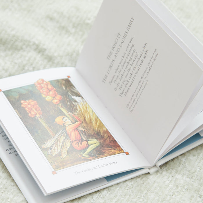 Flower Fairies of The Winter Book