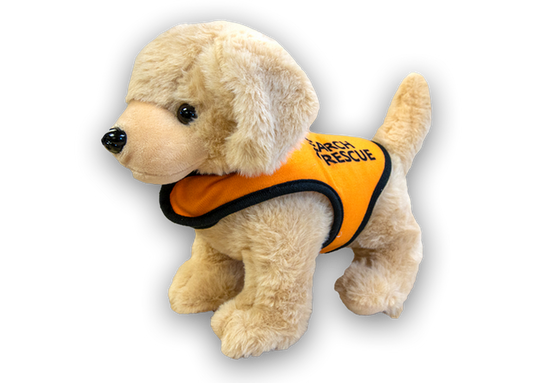 Golden Retriever Rescue Dog