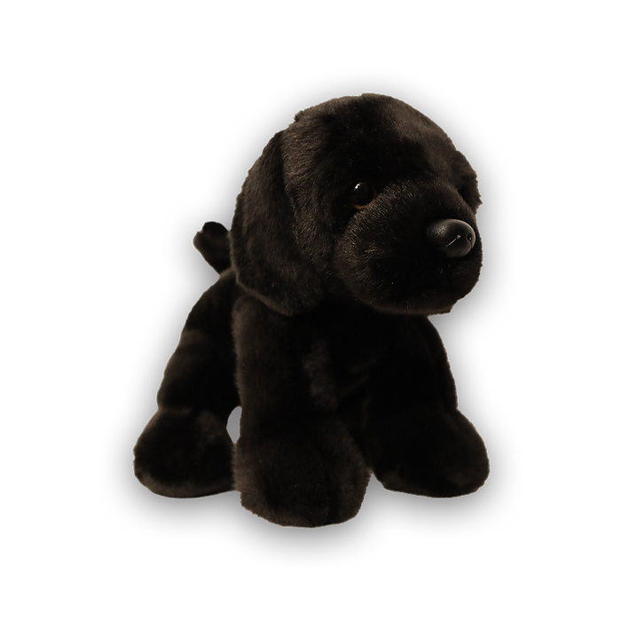 Heritage Black Lab