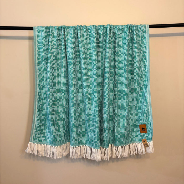 Turquoise patterned throw blanket with white fringe on a black rod against a beige wall.