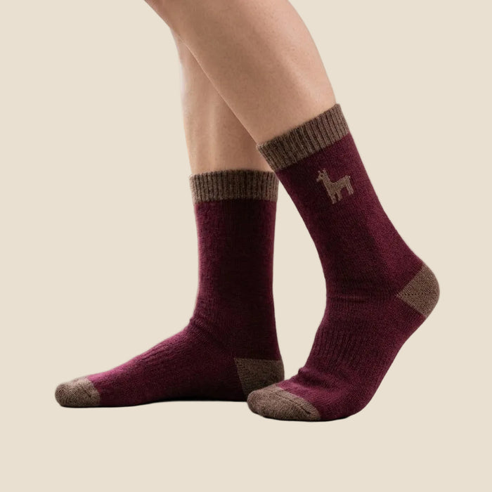 Maroon socks with brown accents worn by a person on a light wooden floor.