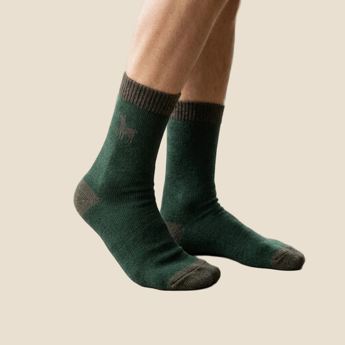 Green socks with a small design worn by a person indoors.