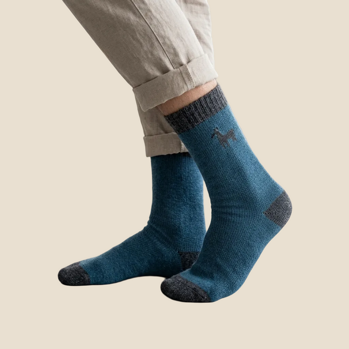 Person wearing blue socks with gray accents indoors