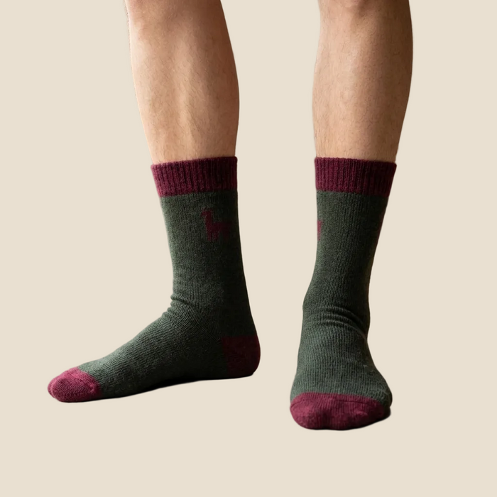 Person wearing dark green socks with maroon accents indoors.