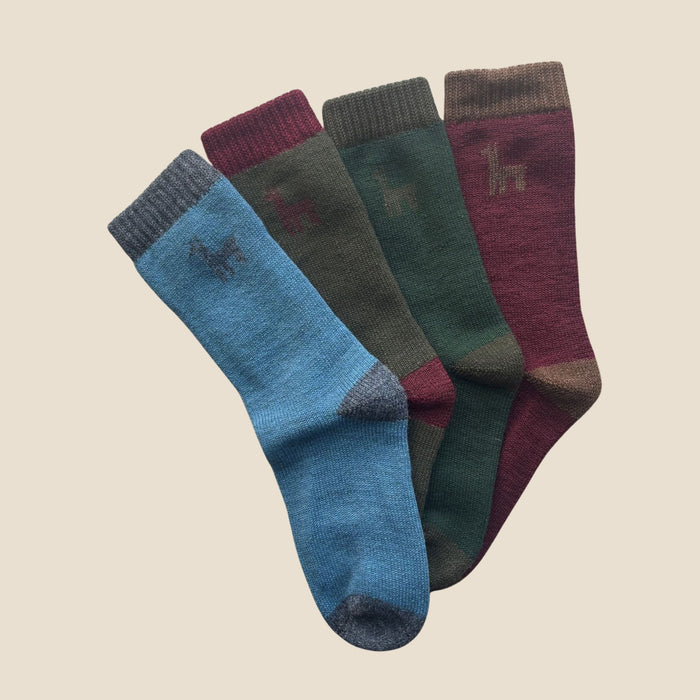 Set of four pairs of socks in blue, green, and maroon on a beige background