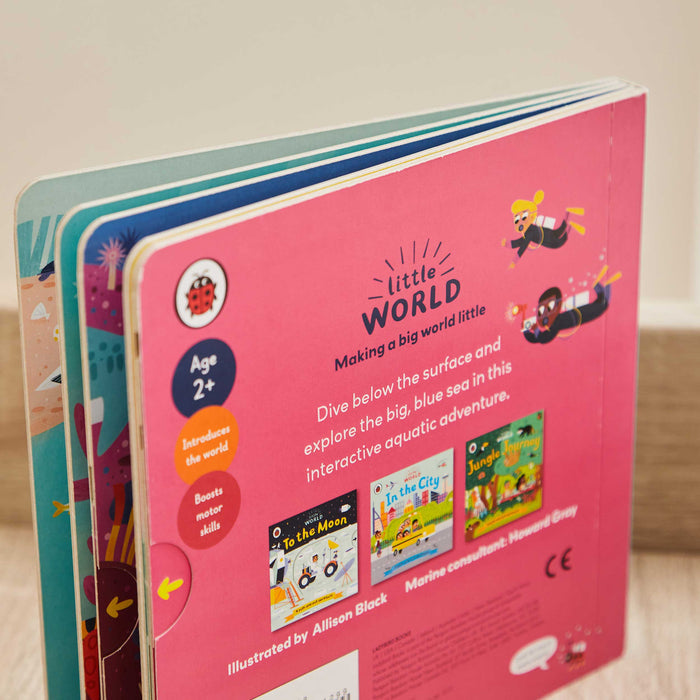 Little World: Under the Sea Book
