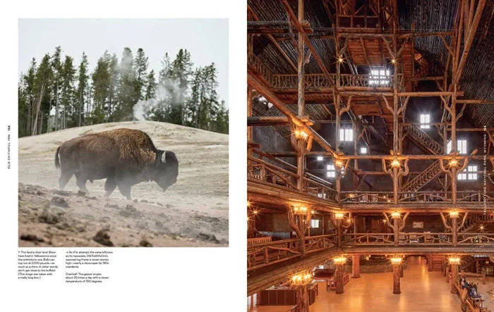Old Faithful Bison front and rustic lodge interior with wooden beams, Yellowstone National Park