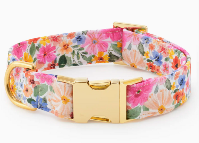 Margaux Dog Collar