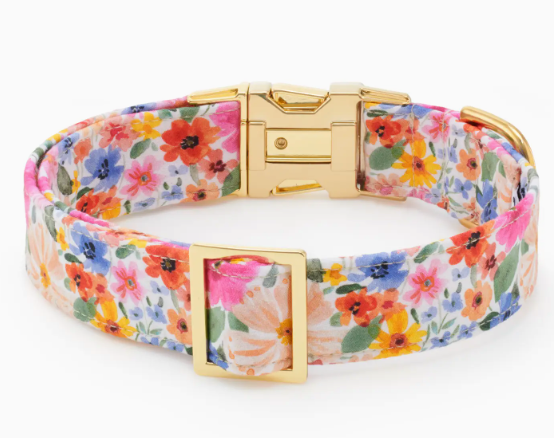 Margaux Dog Collar
