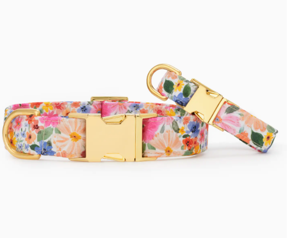 Margaux Dog Collar