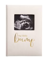 My Little Bump Pregnancy Journal
