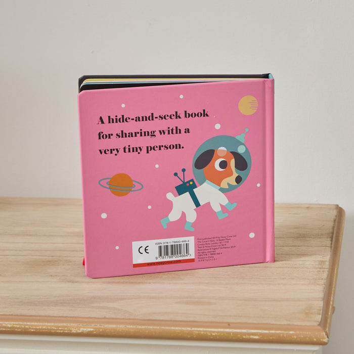 Nosy Crow: Where's Mr Astronaut? Book