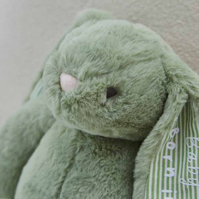 Personalised Born in 2026 Sage Bunny