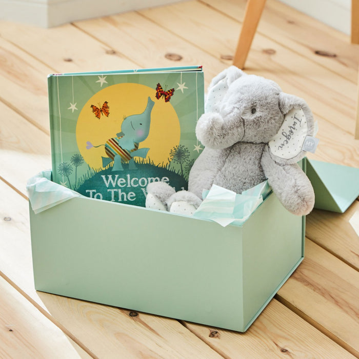 Personalised Born to be Loved Read & Play Gift Set