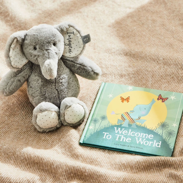 Personalised Born to be Loved Read & Play Gift Set