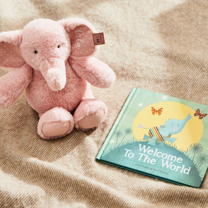 Personalised Born to be Loved Read & Play Gift Set