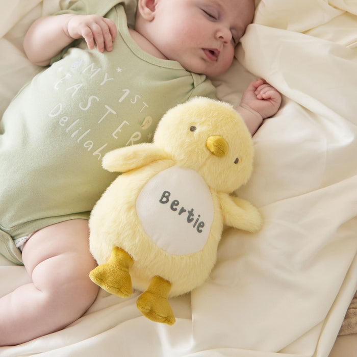 Personalised Chick Plush Toy