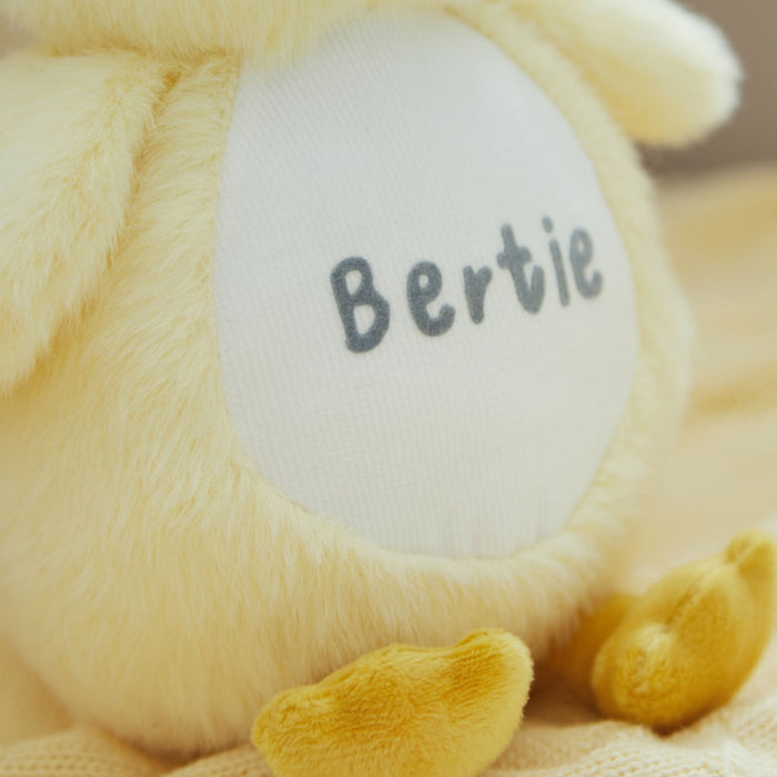 Personalised Chick Plush Toy