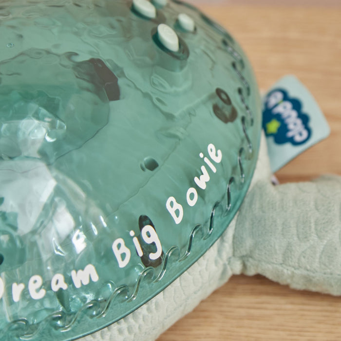 Personalised Cloud B Tranquil Turtle™ Rechargeable - Green