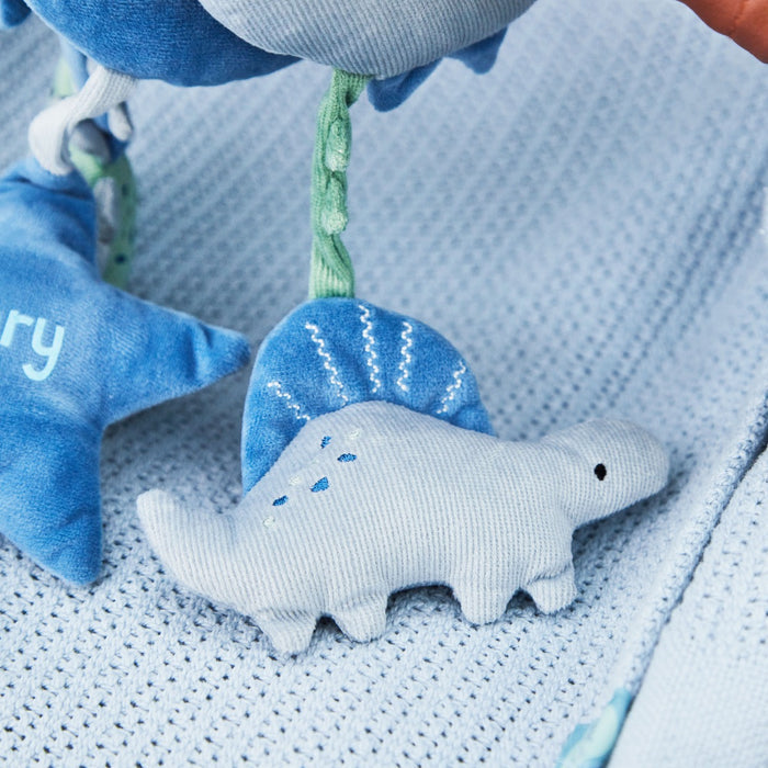 Personalised Dinosaur Spiral Toy